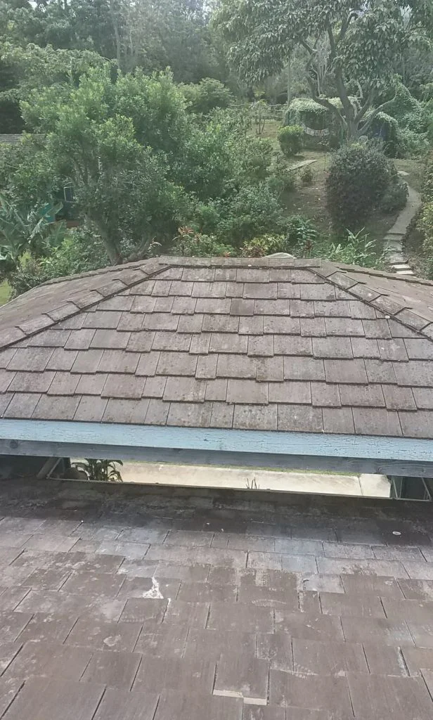 replace roof in maui